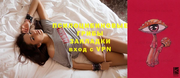 apvp Бежецк