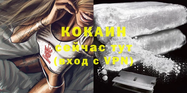 гидра Наволоки