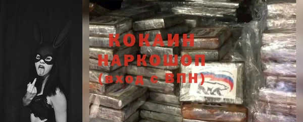 гидра Наволоки