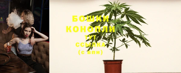 гидра Наволоки