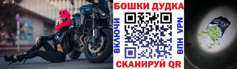 где продают наркотики  Николаевск-на-Амуре  Бошки Шишки VHQ 